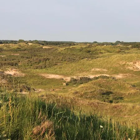 Van Kinsbergen Zandvoort